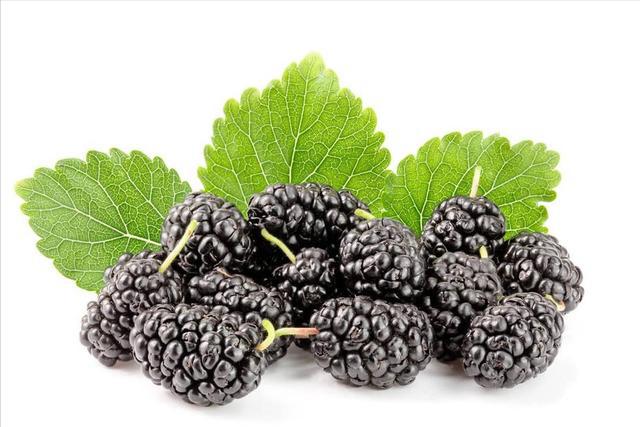 是养发！建议女人多吃这 3 样食物PG麻将胡了免费试玩模拟器养肾就