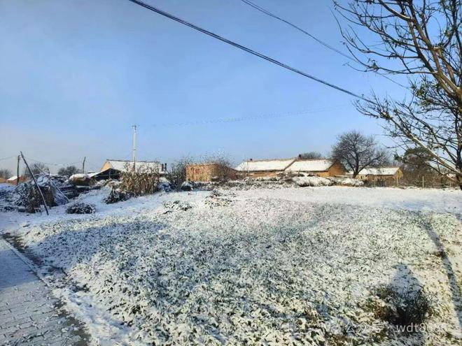 “吉日”切记:1不出3要吃5不做PG电子麻将胡了2今年小寒当天(图1) “吉日”切记:1不出3要吃5不做PG电子麻将胡了2今年小寒当天(图1)